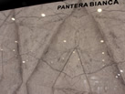 PANTERA BIANCA - TEMMER MARBLE